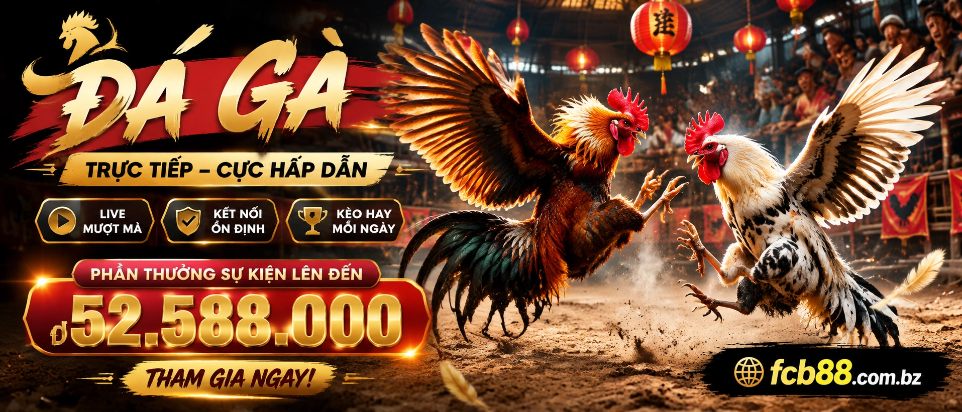 Đá Gà Trực Tiếp trên nền tảng fcb88.com.bz