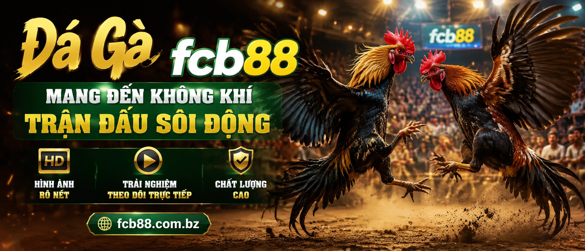 Đá Gà Campuchia nội dung nổi bật